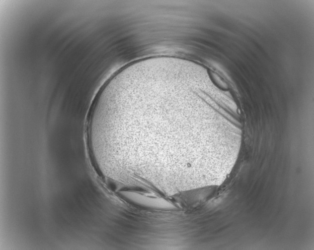 X0000063490899200602172048