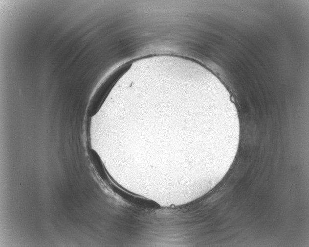 X0000063490904200602172048