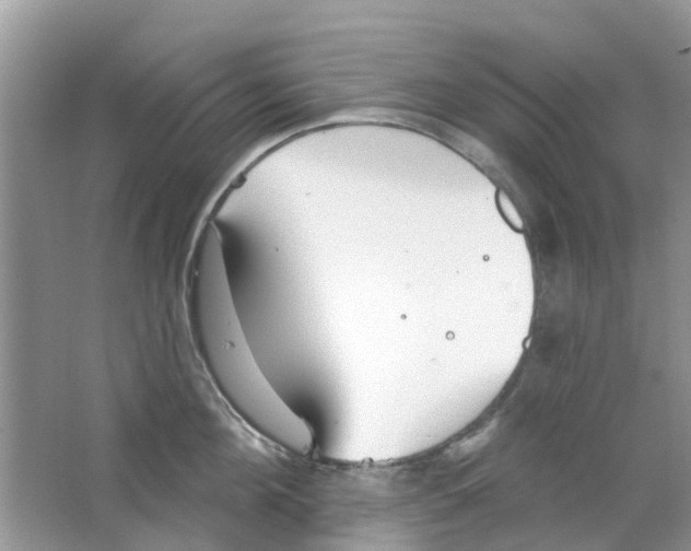 X0000063490908200602172048