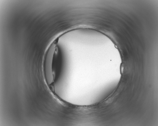 X0000063490910200602172048