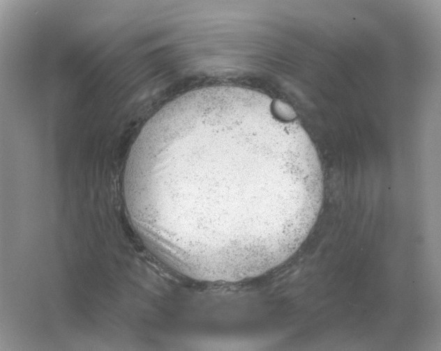 X0000063490917200602172047