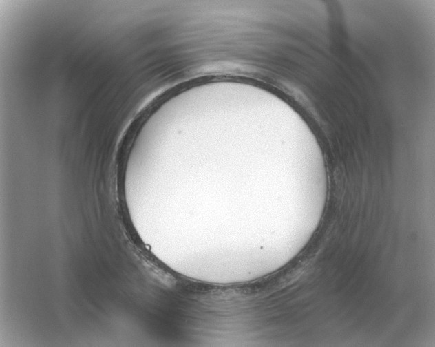 X0000063490931200602172047