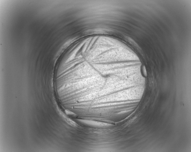 X0000063490938200602172047