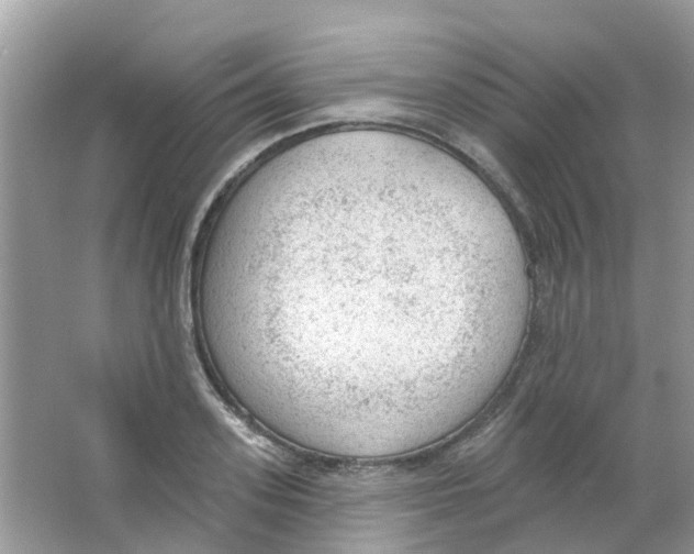 X0000063490939200602172047