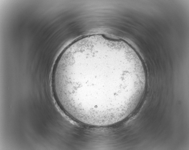 X0000063490949200602172047