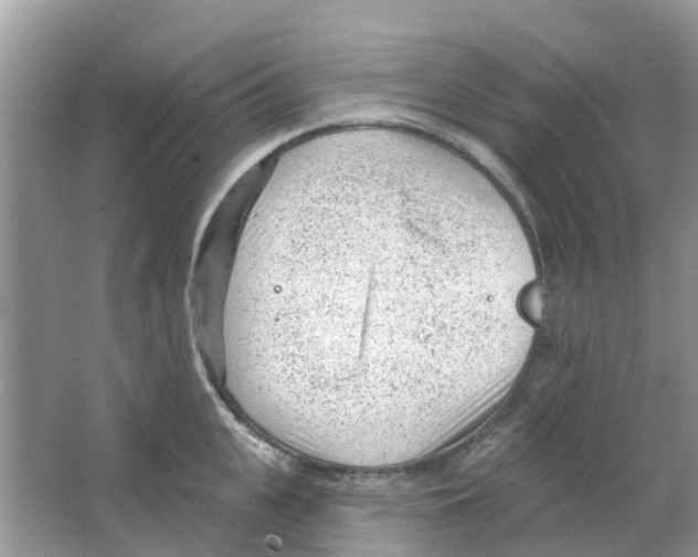 X0000063490951200602172047