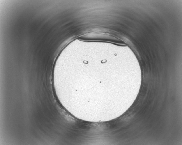 X0000063490954200602172047