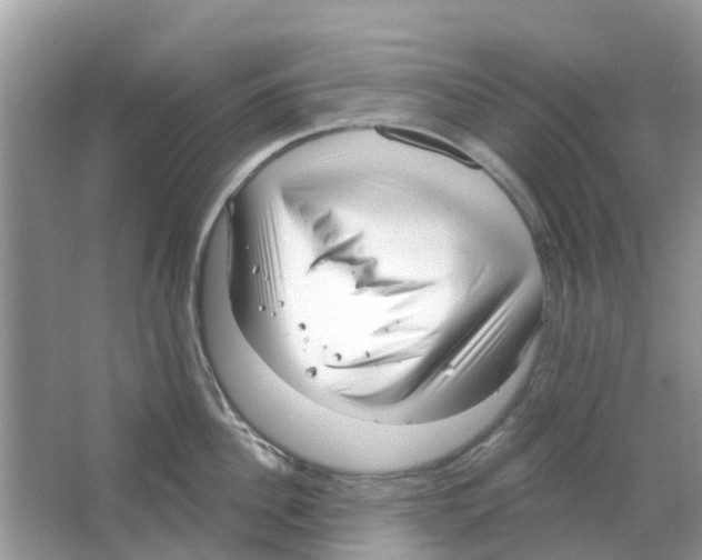 X0000063490956200602172047