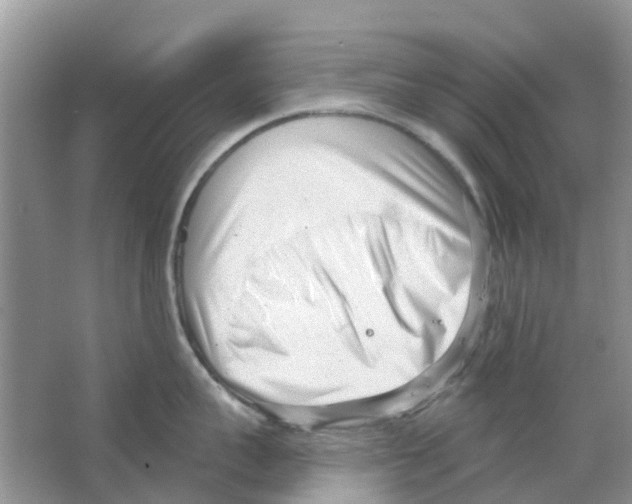 X0000063490959200602172047