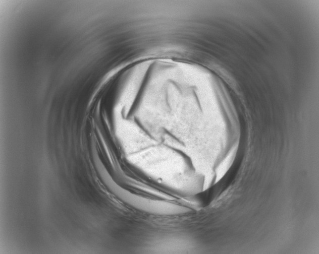 X0000063490960200602172047