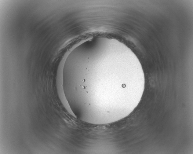 X0000063490968200602172046