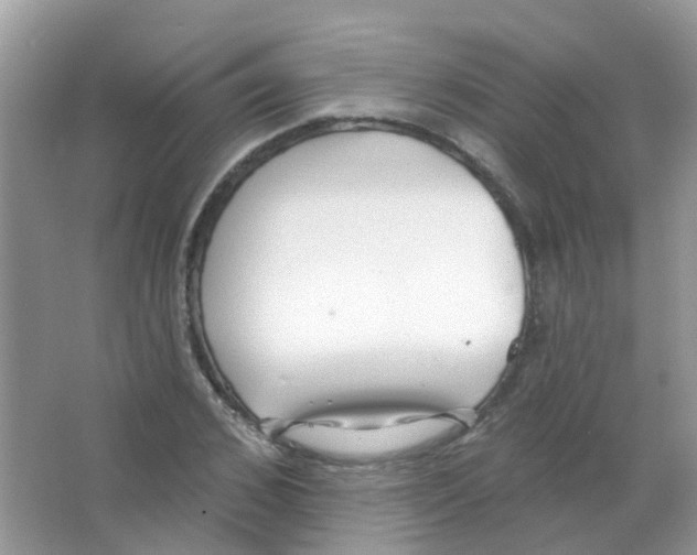 X0000063490976200602172046