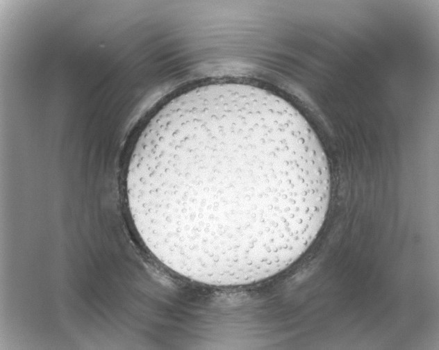 X0000063490978200602172046