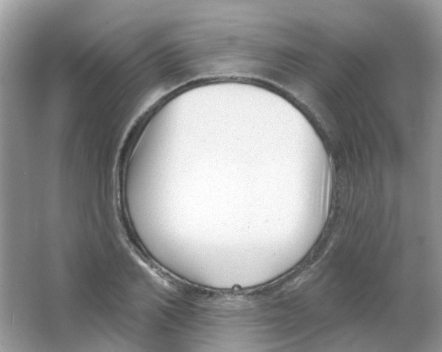 X0000063490982200602172046