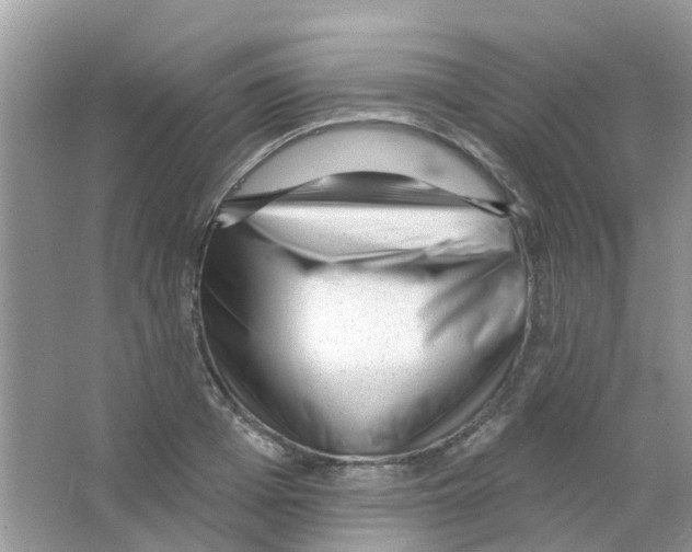 X0000063490985200602172046