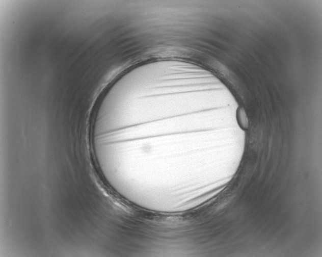 X0000063490986200602172046