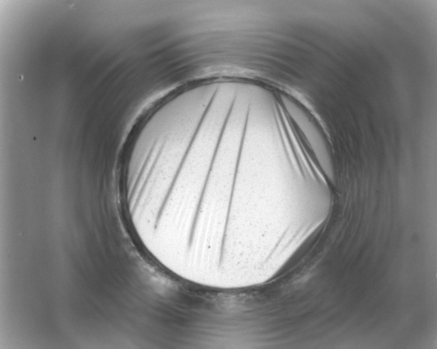 X0000063490987200602172046