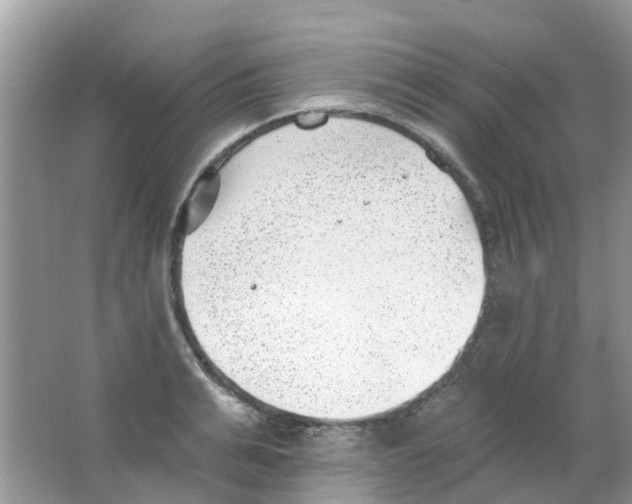 X0000063490991200602172046