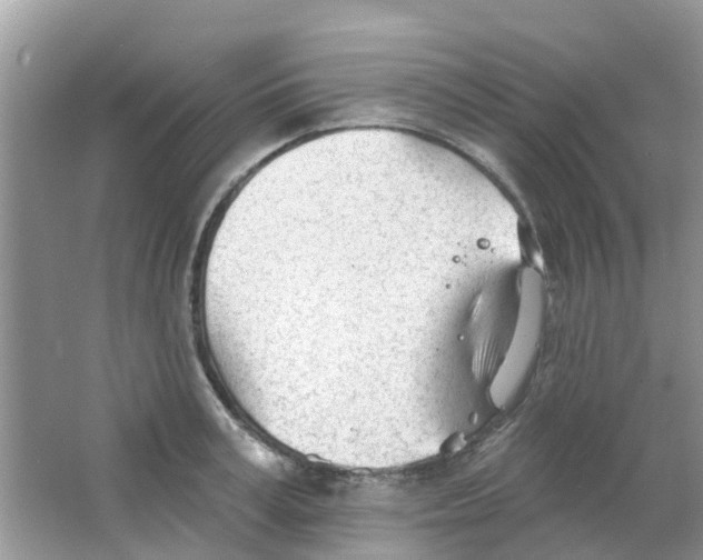 X0000063490995200602172046