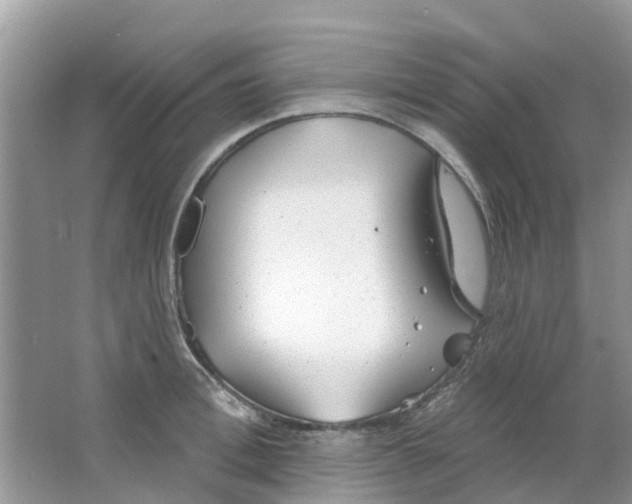 X0000063490996200602172046