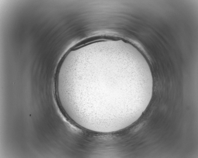 X0000063490999200602172046