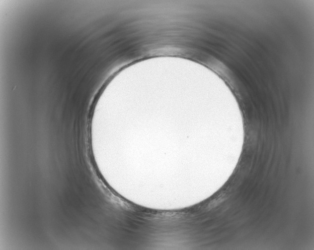 X0000063491000200602172046