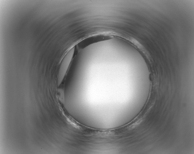 X0000063491001200602172046