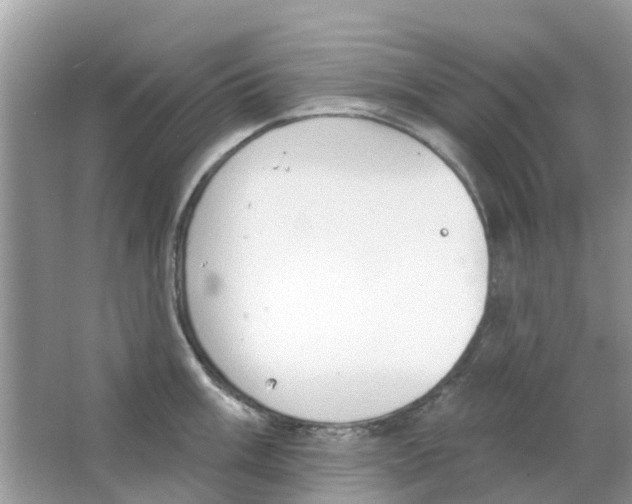 X0000063491003200602172046