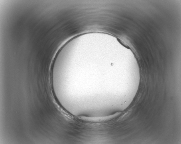 X0000063491004200602172046