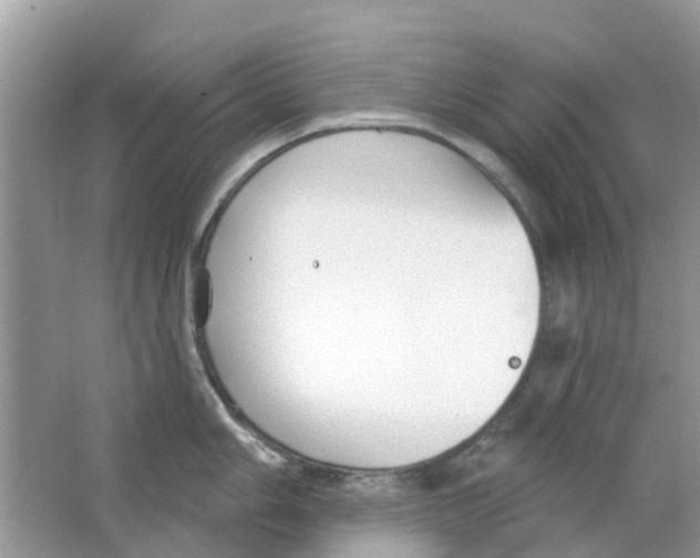 X0000063491006200602172046