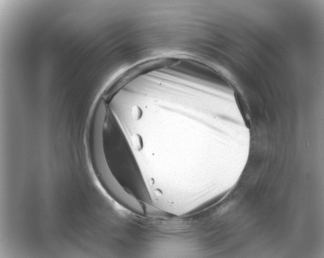 X0000063491007200602172046