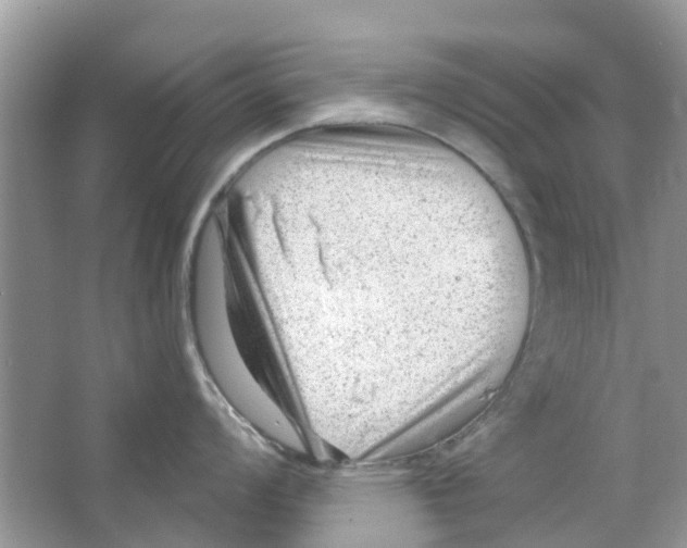 X0000063491008200602172046