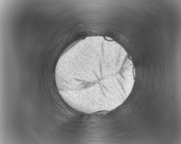 X0000063491009200602172045