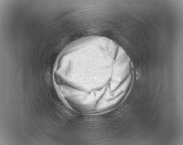 X0000063491011200602172045