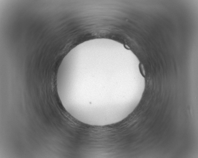 X0000063491012200602172045