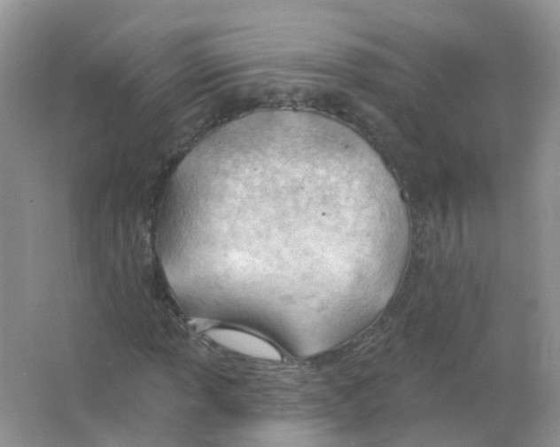 X0000063491013200602172045