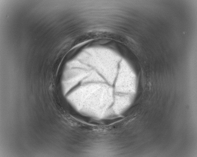 X0000063491014200602172045