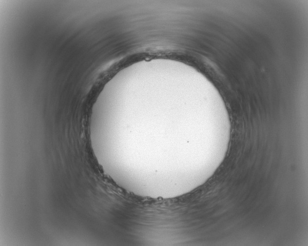 X0000063491016200602172045