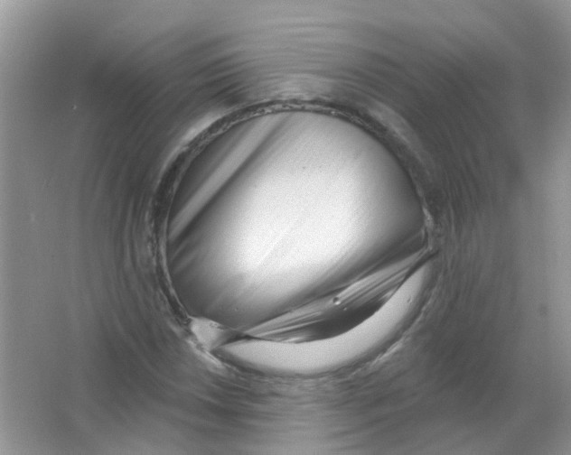 X0000063491018200602172045