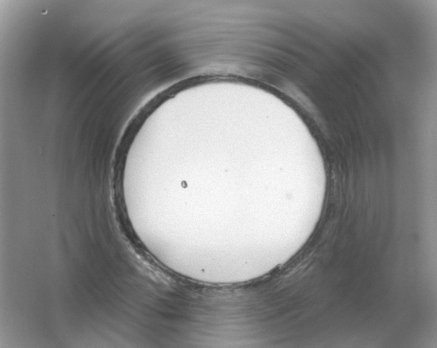 X0000063491020200602172045