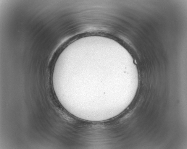 X0000063491021200602172045