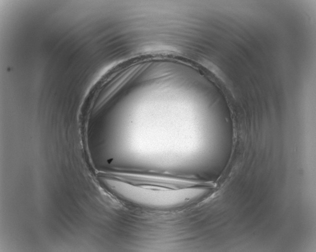 X0000063491022200602172045