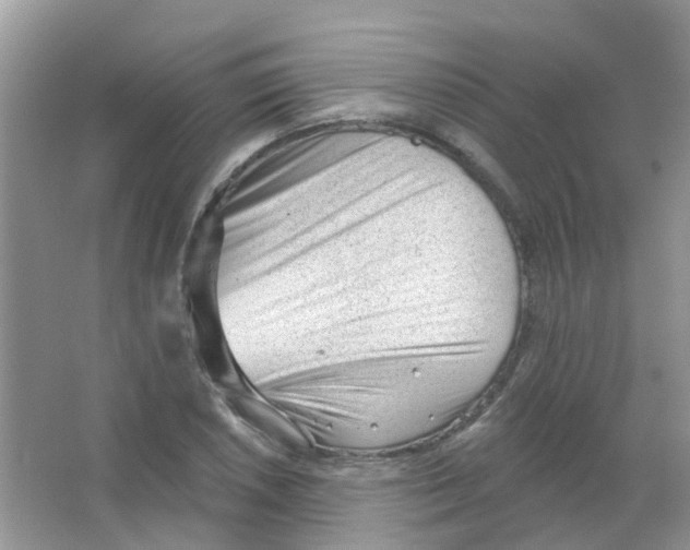 X0000063491026200602172045