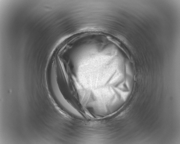 X0000063491030200602172045