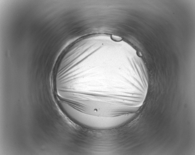 X0000063491032200602172045