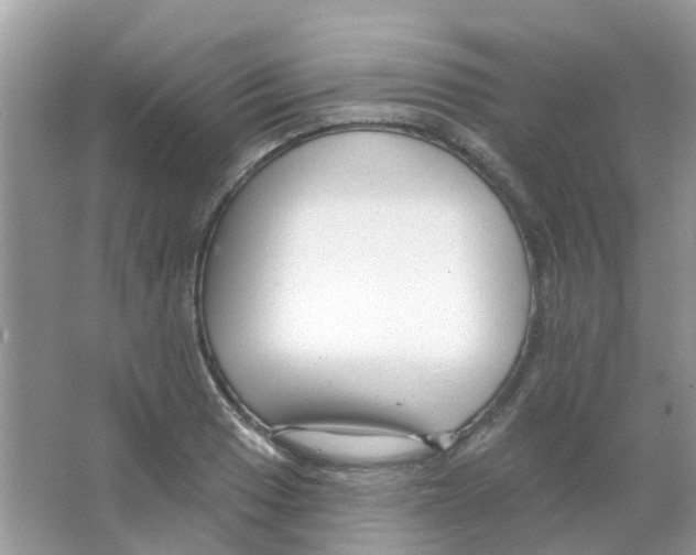 X0000063491033200602172045