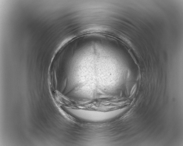 X0000063491034200602172045