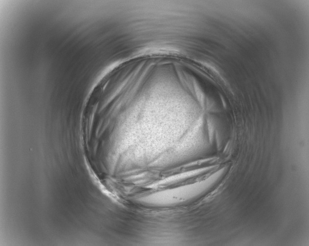 X0000063491038200602172045