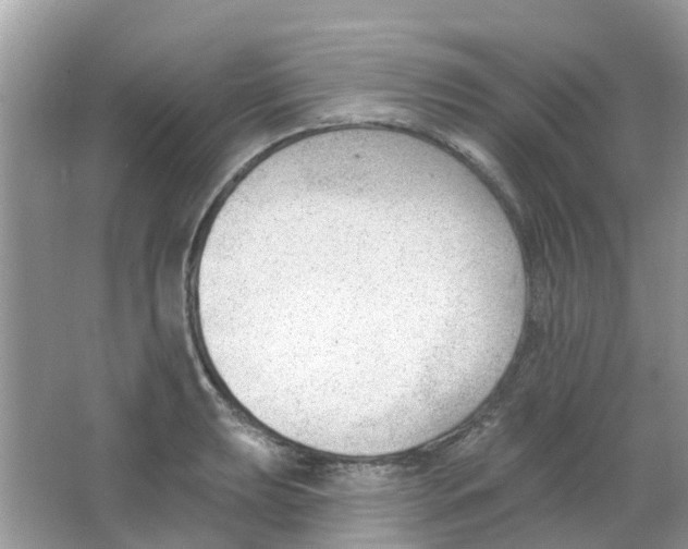 X0000063491039200602172045