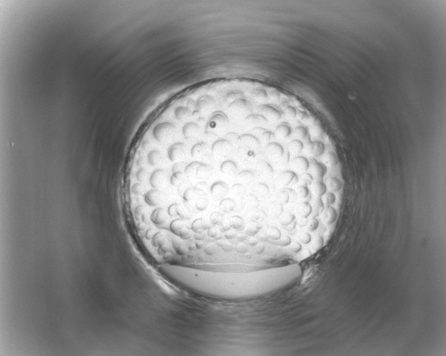 X0000063491040200602172045